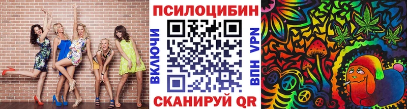 Купить  Пестово  Псилоцибиновые грибы Psilocybe 